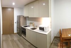 Lakeville (D22), Condominium #557053191